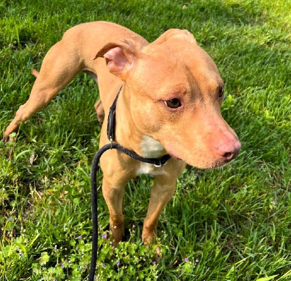 CARLETTO CERCA CASA Foto 7